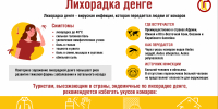 Выезжающим за рубеж: лихорадка денге - Роспотребнадзор