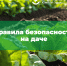 Изображение без описания. - Миасский городской округ