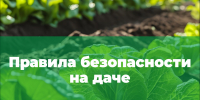 Изображение без описания. - Миасский городской округ