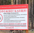Клещи стали активнее присасываться к жителям Бурятии - ВостокТелеИнформ
