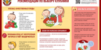 Как выбрать клубнику - Роспотребнадзор Чувашии