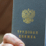 Участники СВО и их семьи могут бесплатно освоить новую профессию в Приморье - Администрация Приморского края