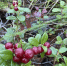 IMG_20260630_155338_509 - NeruLife.Ru