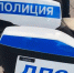 Лось стал причиной смертельного ДТП в Ленобласти – погибли двое - Петербургский формат