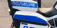 Лось стал причиной смертельного ДТП в Ленобласти – погибли двое - Петербургский формат