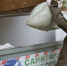 В Сочи продолжают готовить подвалы под укрытия: более 130 объектов в Лазаревском районе - Sochi24.tv