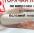 Внимание!  Работает горячая линия по информированию о подозрении на заразные болезни животных - Островский муниципальный район