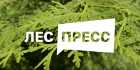 Фото из архива организаторов конкурса - Сетевое издание Коноша29