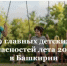 «Башинформ» выпустил лонгрид о том, как защитить детей от главных летних рисков - Агентство по печати и СМИ