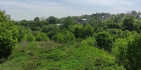 540 памятников археологии хранит Брянская область - Мглинские Вести