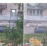 двор - Петрозаводск говорит