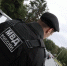 В МВД предупредили о комплексных мероприятиях в Ленобласти - Neva.Today