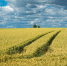 Фото: magnific.com - Амурское областное телевидение