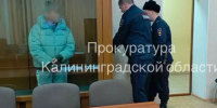 В Калининграде бабушку из Гусева судят за убийство внука после родов - ИА Русский Запад