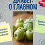 диабет о главном.jpg - ГАУЗ КО ОКЦОЗШ