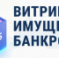 Федеральной налоговой службой запущена онлайн-платформа «Витрина имущества банкротов» - Samaratoday.ru