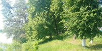 В Кирове территория берега Верхнего водохранилища зарастает травой - Калужский перекрёсток