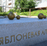 На Яблоневую аллею в Сыктывкаре вернули «золотые яблоки» - Bnkomi.Ru