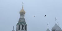 портал - Вологда-поиск