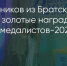 Поделитья во ВКонтакте - Братская Студия Телевидения