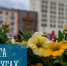 Работа в округах - Город Мурманск