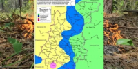 Сводка пожароопасности на 29.06.2026 - Министерство лесного хозяйства