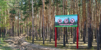 Четвертый класс пожароопасности лесов и торфяников ожидается в Нижнем Новгороде - Газета День города. Нижний Новгород