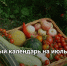 Лунный календарь на июль 2026 года - Самарская Газета