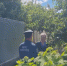 Рейд по садам.mp4_snapshot_00.15.844.jpg - ГТРК Кострома