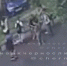 Фото: скриншот из видео | Толпа подростков жестоко избила сверстника в Уссурийске - PrimPress.Ru