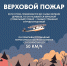 От костра до бедствия: что нужно знать о лесных пожарах - Город Мурманск