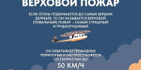 От костра до бедствия: что нужно знать о лесных пожарах - Город Мурманск