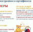 Ленобласть представила федеральным экспертам опыт внедрения электронных социальных сертификатов - Online47.Ru