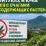 В Ессентуках и Ставропольском крае ликвидируют очаги наркосодержащих растений.. - Администрация г. Ессентуки