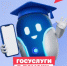 Цифровые сервисы для поступающих: что нового - Гайский городской округ