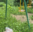img - ЛДПР