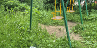 img - ЛДПР
