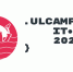 Международный пляжный IT-фестиваль «ULCAMP» - Министерство цифры Республики Мордовия
