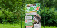 Фото: "Единение" - CherInfo.Ru