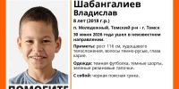 В Томском районе ищут 8-летнего мальчика - ГТРК Томск
