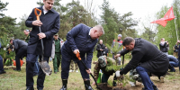 В Петербурге высадили 7447 деревьев и 920 кустарников в рамках акции «Сад памяти» - Spbdnevnik.ru