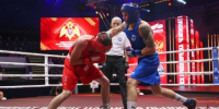 В Росгвардии стартовал чемпионат по боксу, посвящённый 10-летию ведомства - Росгвардия