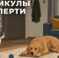 Каникулы взаперти - Район Матушкино