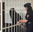 Сибиряк получил 18 лет колонии за убийство и вымогательство - Gorsite.Ru