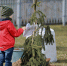 Фото: ПАИ. Изображение носит иллюстративный характер - InformPskov.Ru