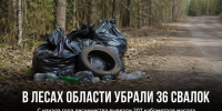 В лесах Липецкой области с начала года ликвидировали 36 свалок - Газета Задонская правда