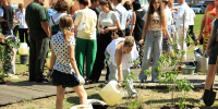 Аллея выпускников – медалистов 2026 года: вклад в благоустройство родного города - Администрация г. Калининграда