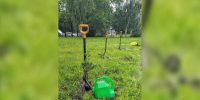 В Тосненской гимназии открылось новое школьное лесничество «ЛесДозор» - Spbdnevnik.ru