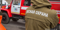 Нижегородцев предупредили о высокой пожароопасности в лесах - НИА Нижний Новгород