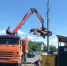 Городские службы ежедневно убирают мусорные навалы - Администрация г. Тамбова